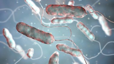 Legionella pnömofili bakterisi