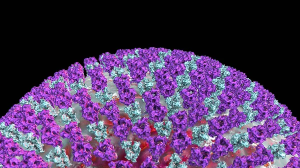 Vírus do sarampo, estrutura superficial — Fotografia de Stock