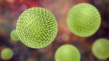 Kızamık virüsleri, yüzey glikoprotein ani ile kızamık virüsü yapısını gösteren illüstrasyon