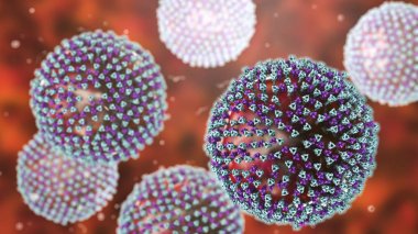 Kızamık virüsleri, yüzey glikoprotein ani ile kızamık virüsü yapısını gösteren illüstrasyon