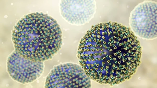 麻疹ウイルス、表面糖タンパク質スパイクを伴う麻疹ウイルスの構造を示す図 — ストック写真