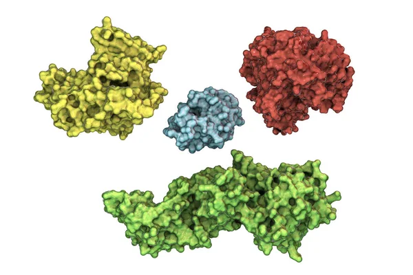 Molécules de formes différentes isolées sur fond blanc — Photo