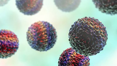 Zika virüsleri, Zika humunun nedensel maddesi