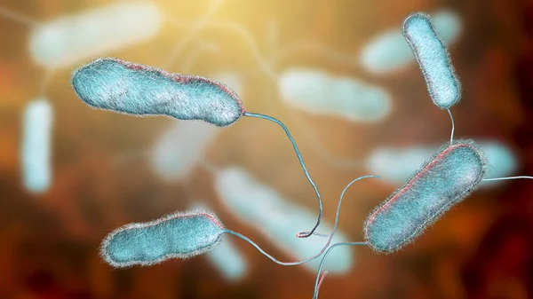 Bactéria Legionella pneumophila, agente causador da doença de Legionnaire — Fotografia de Stock