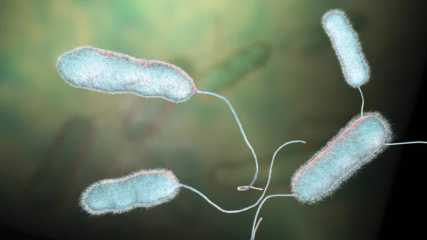 Legionella pneumophila bacterium, agente causante de la enfermedad de Legionella. — Foto de Stock