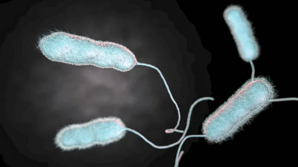 La bactérie Legionella pneumophila, l'agent causal de la maladie du légionnaire — Photo