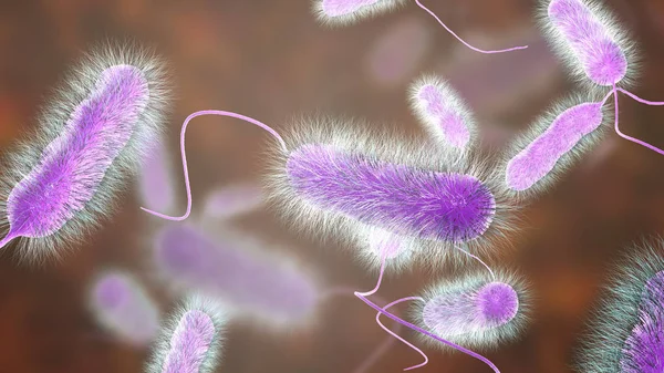 Legionella pneumophila bacterium, the causative agent of Legionnaire's disease — Stock Photo, Image