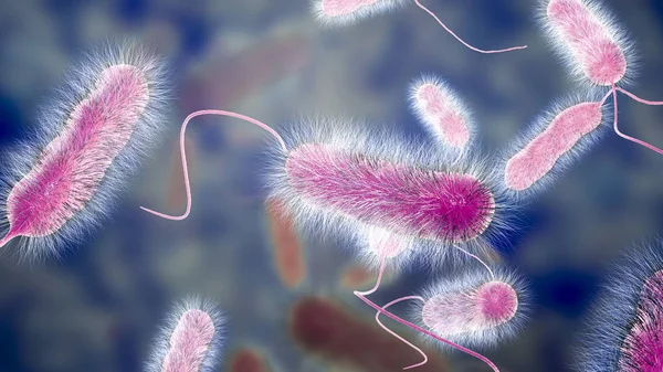 Legionella pneumophila bacterium, the causative agent of Legionnaire's disease — Stock Photo, Image