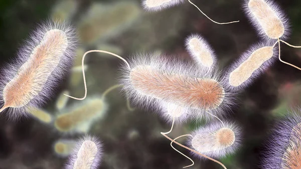 Legionella pneumophila bacterium, som orsakar legionärssjuka — Stockfoto