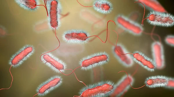 Legionella pneumophila bacterium, agente causante de la enfermedad de Legionella. — Foto de Stock