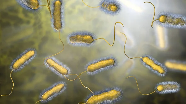 Legionella pneumophila bacterium, původce Legionářovy choroby — Stock fotografie