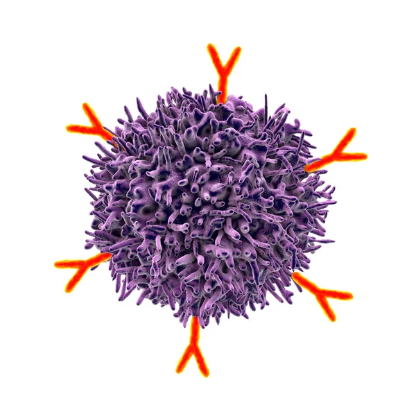 Buňky Protilátky Ilustrace Zásady Imunity — Stock fotografie