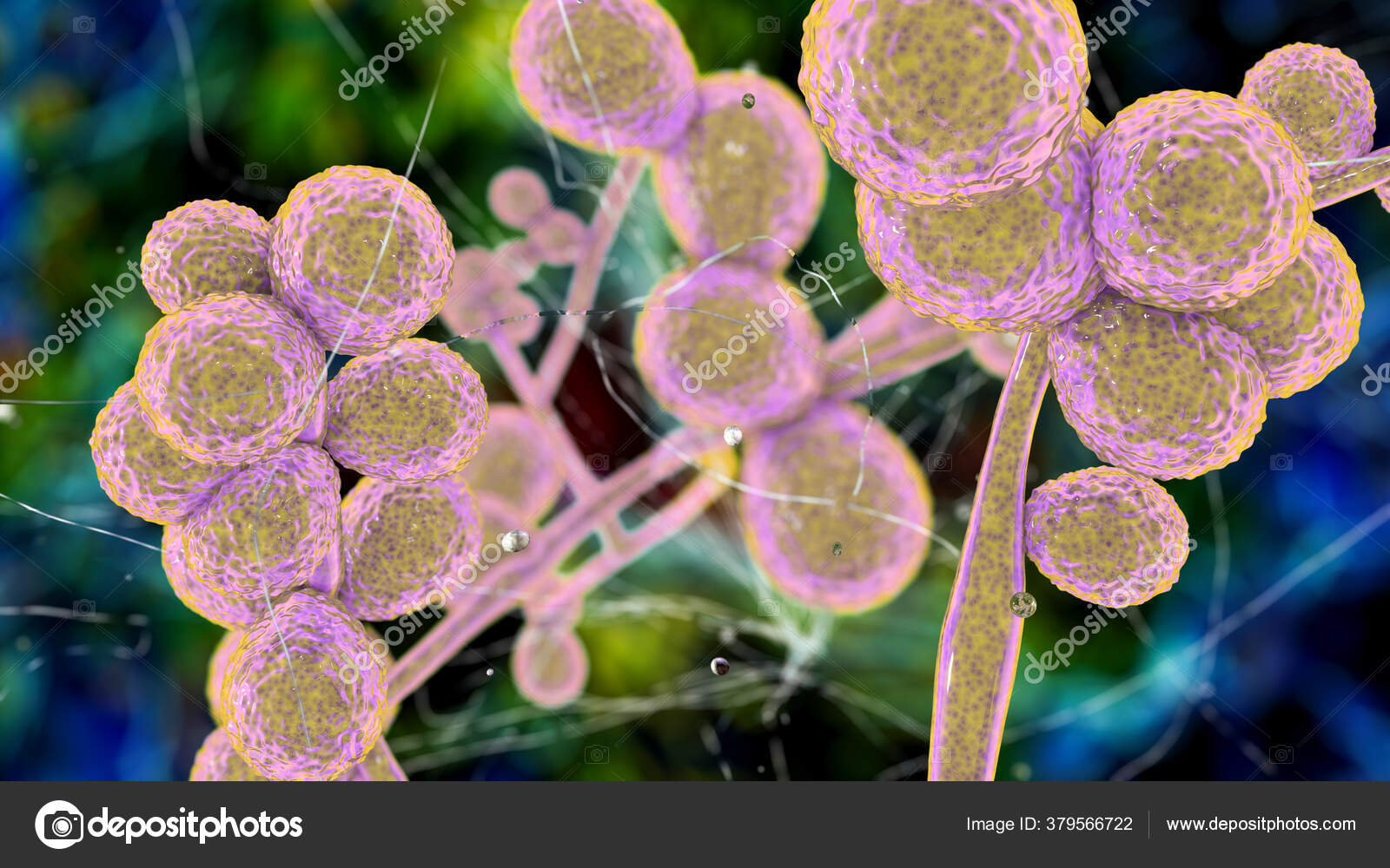 Skin Invasive Candidiasis Ppgbbe Intranet Biologia Ufrj Br Skin Invasive Candidiasis Ppgbbe Intranet Biologia Ufrj Br