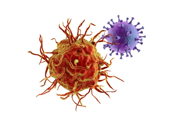 항바이러스제 Dendritic Cell Binding Virus — 스톡 사진