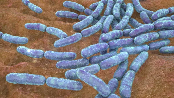 Bactérias Probióticas Lactobacillus Ilustração Acidophilus Helveticus Outros Flora Normal Intestino — Fotografia de Stock