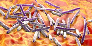 Tüberkülozun nedensel maddesi olan Mycobacterium tuberculosis, 3 boyutlu illüstrasyon M. leprae, M. avium kompleksi ve diğer micobakteriler için kullanılabilir.