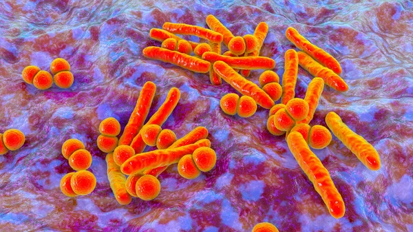 Respiratory Pathogens Bacteria Mycobacterium Tuberculosis Streptococcus Pneumoniae Illustration — Stock Photo, Image