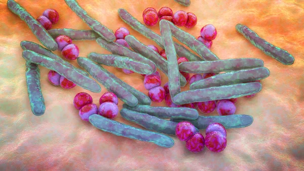 Respiratory pathogens, bacteria Mycobacterium tuberculosis and Streptococcus pneumoniae, 3D illustration. The causative agents of tuberculosis and pneumonia