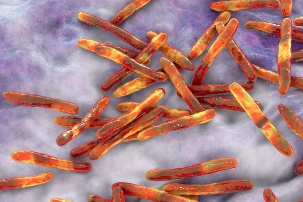 Bacteriën Mycobacterium Tuberculosis Veroorzaker Van Tuberculose Illustratie Kan Worden Gebruikt — Stockfoto