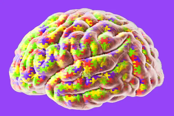 自闭症意识和自闭症障碍的概念 3D说明 人脑和拼图游戏 — 图库照片