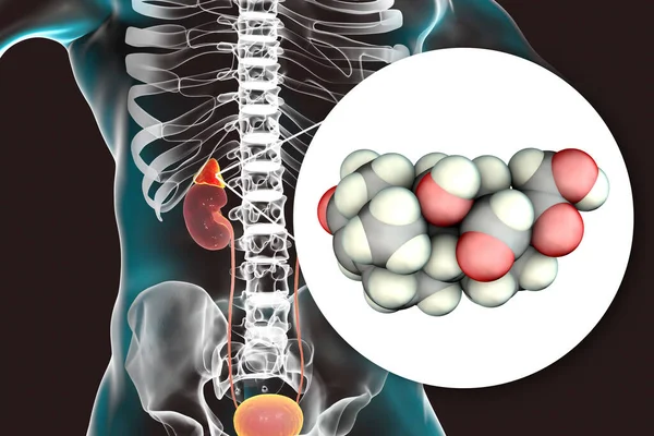 Hormona Aldosterona Hormona Mineralocorticoide Producida Por Adrenales Ilustración —  Fotos de Stock