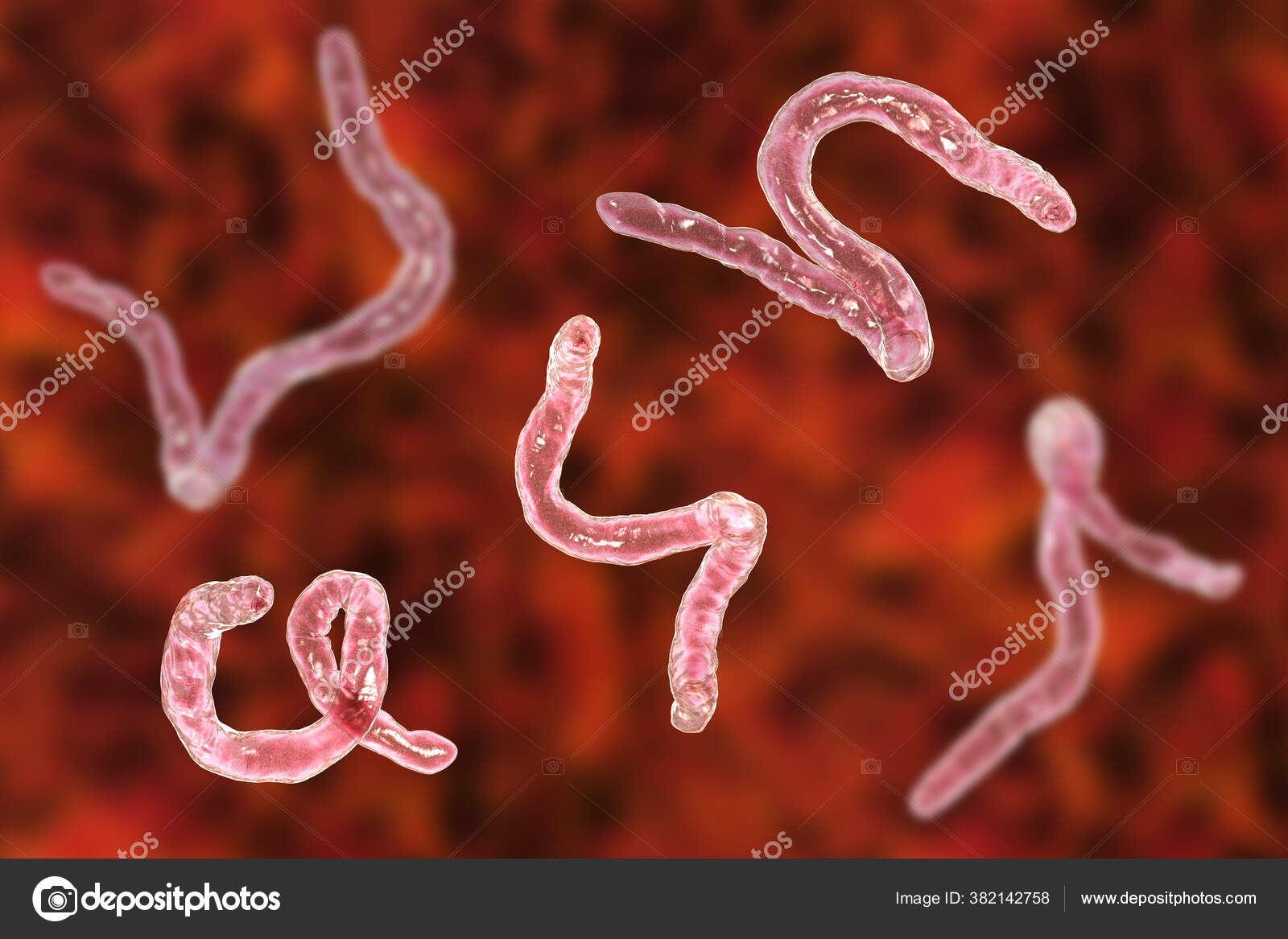 絵 「カラフルな寄生虫」