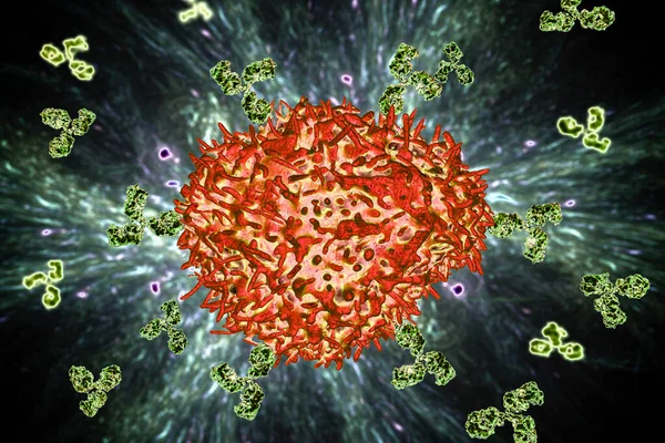 Plasmacellproducerande Antikroppar Illustration Principer För Immunitet — Stockfoto