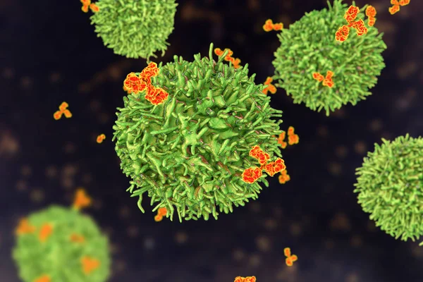 Cell Och Antikroppar Illustration Principer För Immunitet — Stockfoto