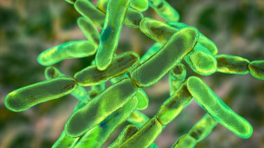 Bacteria Bifidobacterium, gram-positive anaerobic rod-shaped bacteria which are part of normal flora of human intestine are used as probiotics and in yoghurt production. 3D illustration clipart