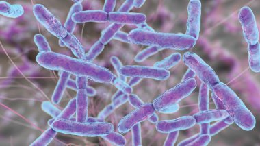 Bakteri Bifidobakterisi, normal insan bağırsağı florasının parçası olan gram-pozitif anaerobik çubuk şekilli bakteriler probiyotik ve yoğurt üretiminde kullanılır. 3B illüstrasyon