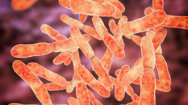 Бактерии Bifidobacterium, грамположительные анаэробные бактерии, которые являются частью нормальной флоры кишечника человека, используются в качестве пробиотиков и в производстве йогуртов. 3D иллюстрация