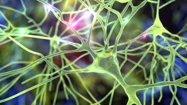 Pyramidal neurons of the human brain cortex, 3D illustration clipart