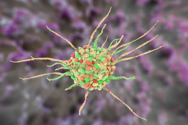 Komórki Dendrytyczne Komórki Odpornościowe Prezentujące Antygen Ilustracja — Zdjęcie stockowe