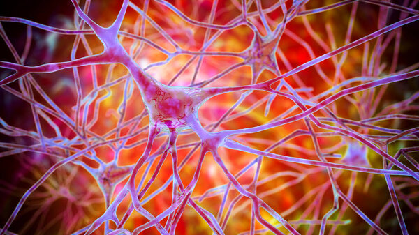 Pyramidal neurons of the human brain cortex, 3D illustration