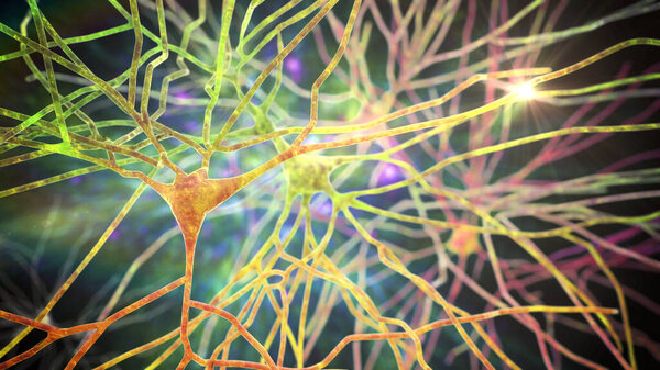Pyramidal neurons of the human brain cortex, 3D illustration
