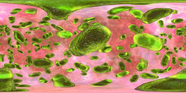 Vista Panorámica 360 Grados Bacteria Porphyromonas Gingivalis Ilustración Bacterias Que — Foto de Stock