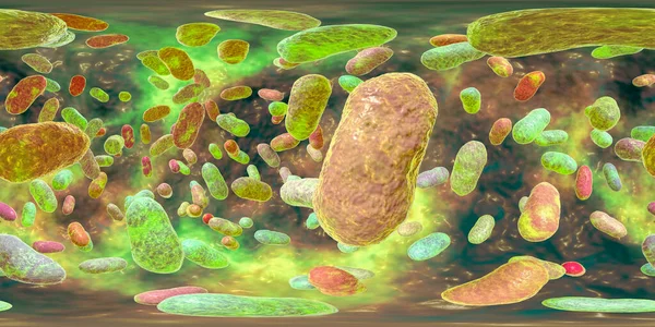 360 Degree Panorama View Porphyromonas Gingivalis Bacteria Illustration Bacteria Cause — Stock Photo, Image