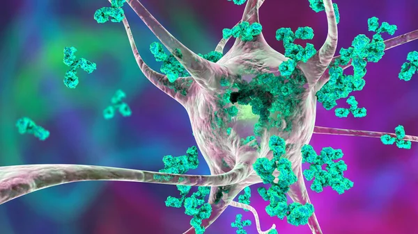 Αντισώματα Επιτίθενται Στο Νευρώνα Τρισδιάστατη Απεικόνιση Έννοια Των Αυτοάνοσων Νευρολογικών — Φωτογραφία Αρχείου