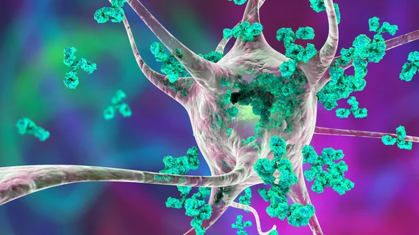 Antibodies Attacking Neuron Illustration Concept Autoimmune Neurologic Diseases — Stock Photo, Image