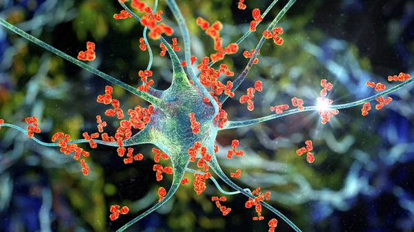 Anticorps Attaquant Neurone Illustration Concept Maladies Neurologiques Auto Immunes — Photo