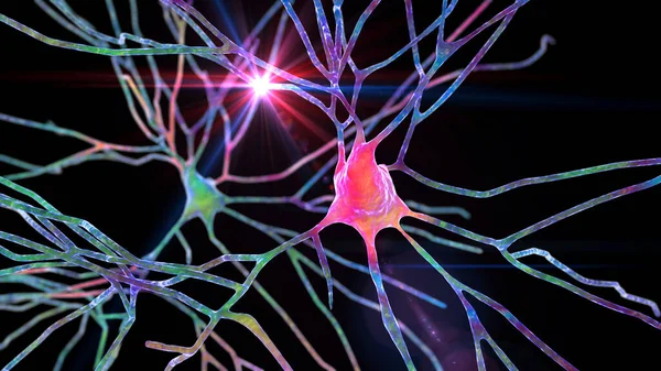Neuronas Piramidales Corteza Cerebral Humana Ilustración — Foto de Stock