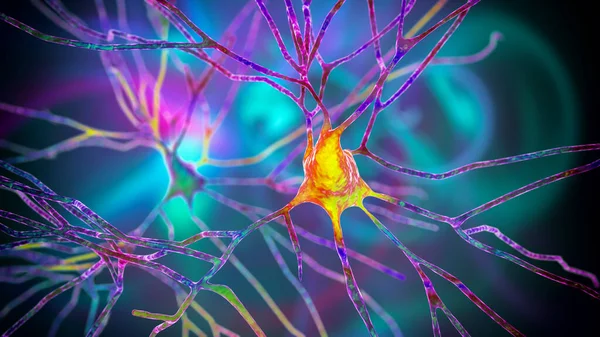 Neuronas Piramidales Corteza Cerebral Humana Ilustración — Foto de Stock