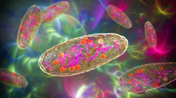 Pestbakterium Yersinia Pestis Wissenschaftlich Genaue Illustration Der Zellstruktur Mit Dna — Stockfoto