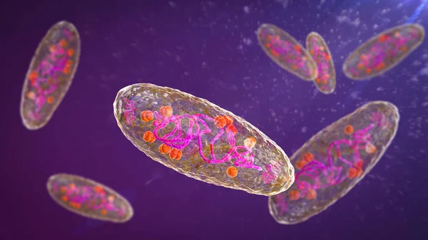 Pestbakterien Yersinia Pestis Vetenskapligt Korrekt Illustration Som Visar Cellens Struktur — Stockfoto