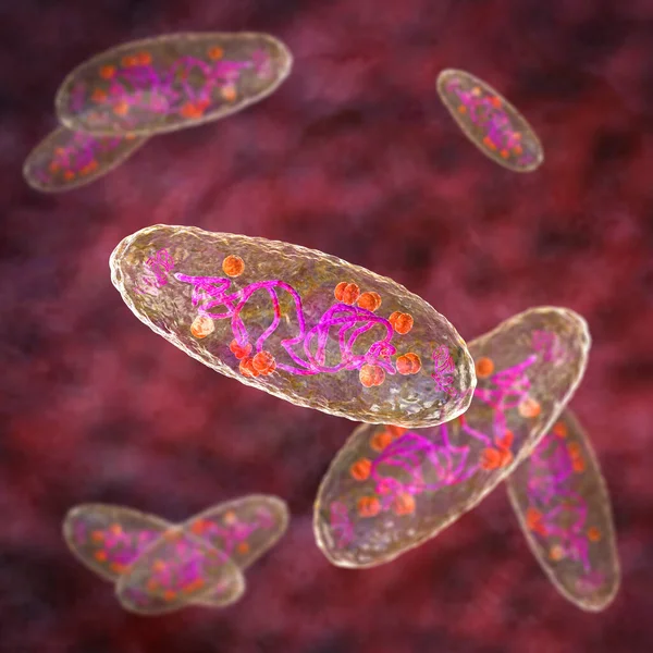 ペスト菌イェルシニアの害虫 Dna プラスミド リボソームで細胞の構造を示す科学的に正確な3Dイラスト — ストック写真