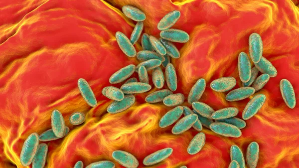 Plague Bacteria Yersinia Pestis Ilustración Científicamente Precisa — Foto de Stock