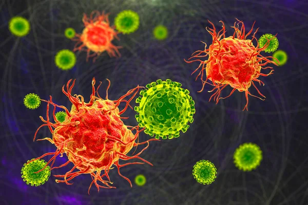 Antiviral immunity. Dendritic cells binding viruses, 3D illustration