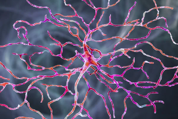 Neurone Rétinien Neurone Qui Joue Rôle Crucial Dans Vision Transforme — Photo