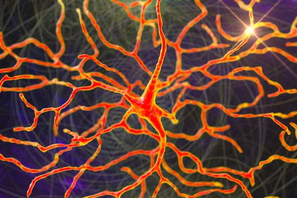 Neurona Retiniana Una Neurona Que Juega Papel Crucial Visión Transforma — Foto de Stock