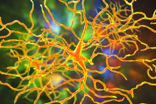 Neurone Rétinien Neurone Qui Joue Rôle Crucial Dans Vision Transforme — Photo